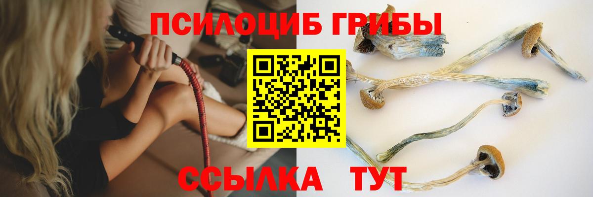 Псилоцибиновые грибы Cubensis Шадринск